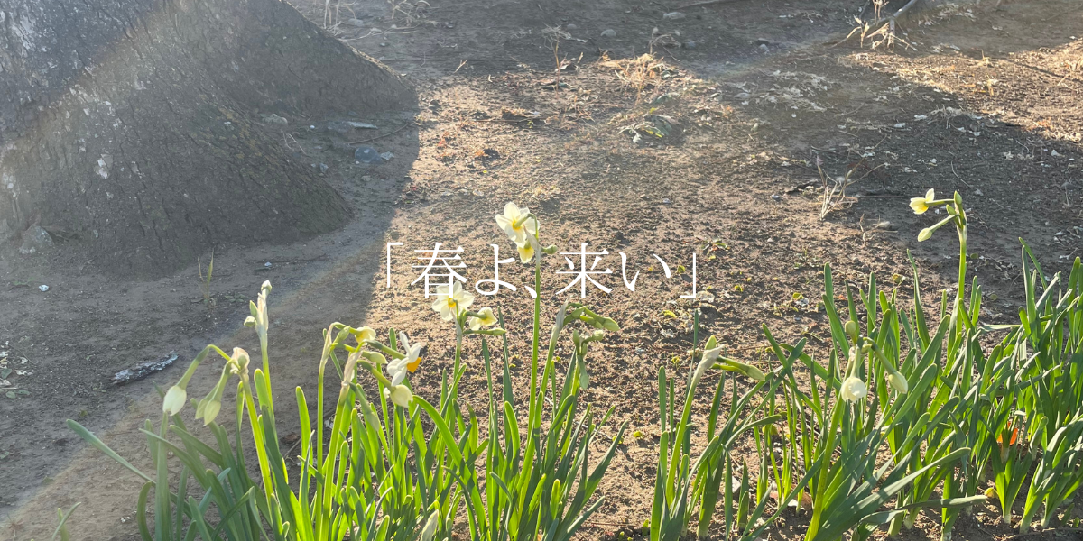 「春よ、来い」
