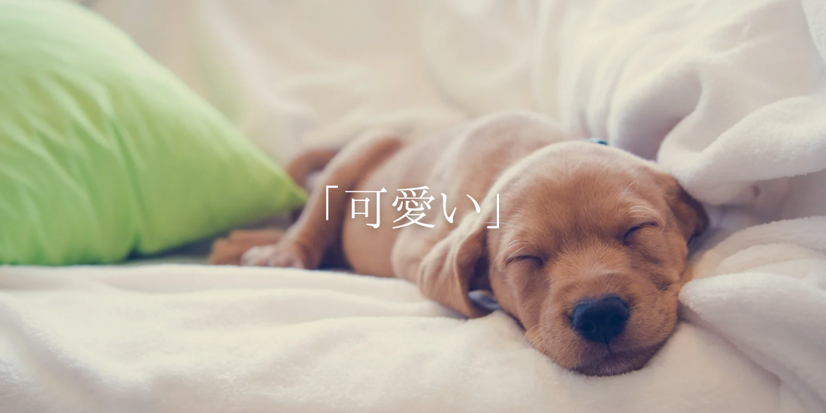 「可愛い」