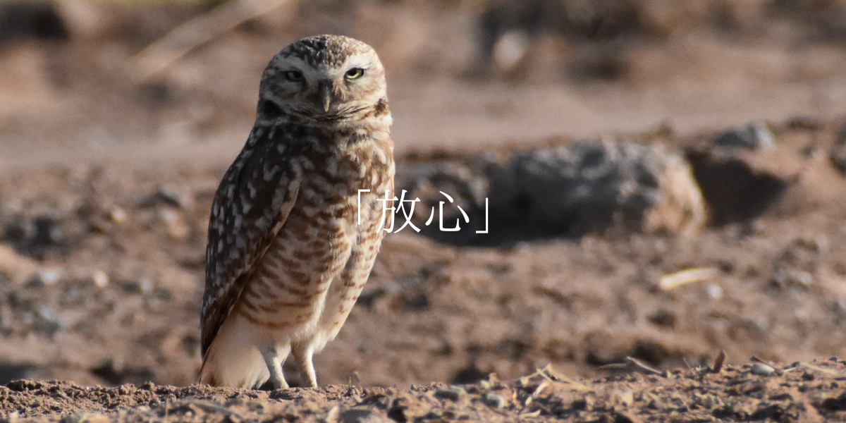 「放心」