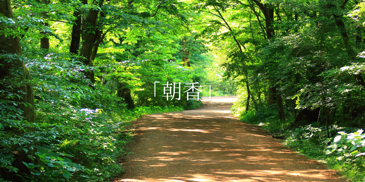 「朝香」