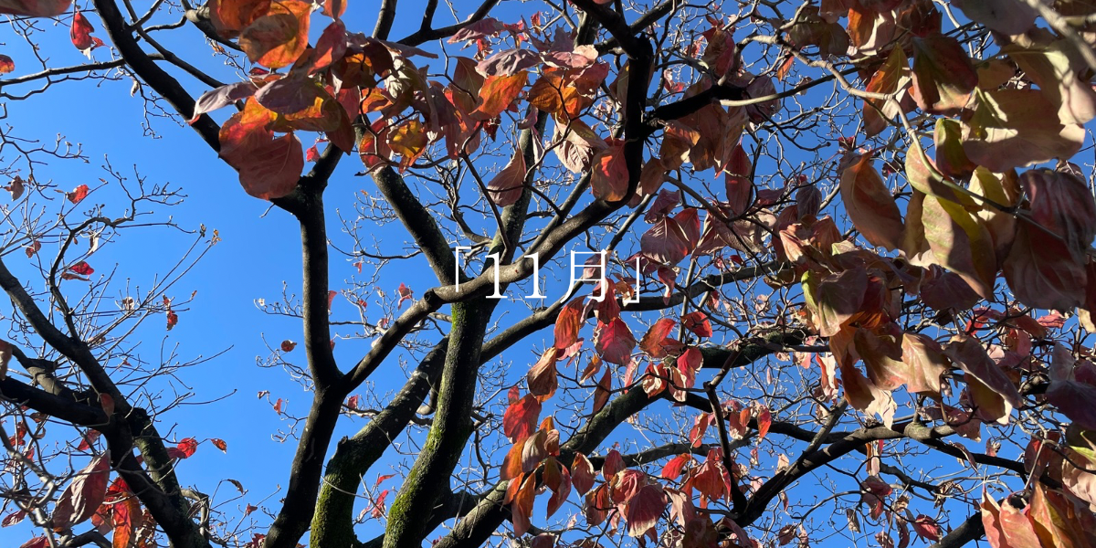 「11月」