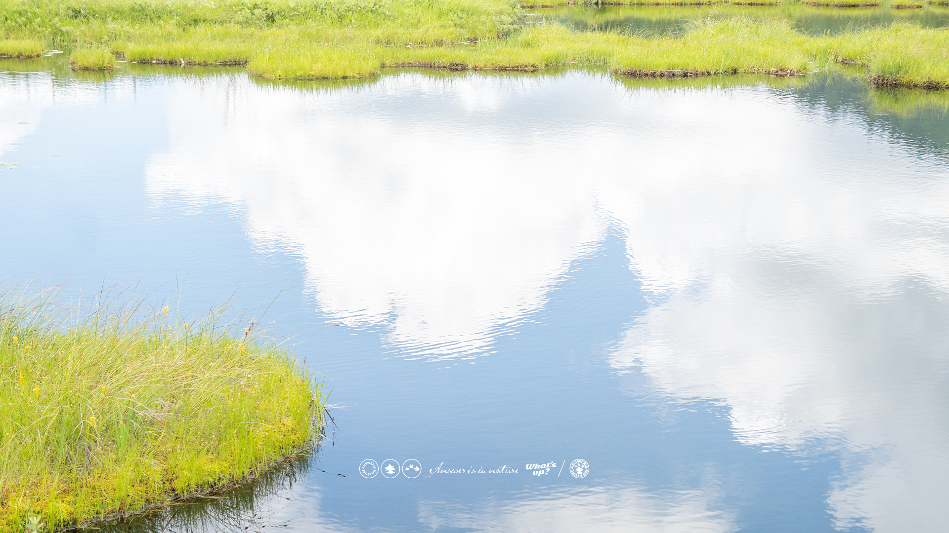 2026 S/S 予約商品のお届けについて