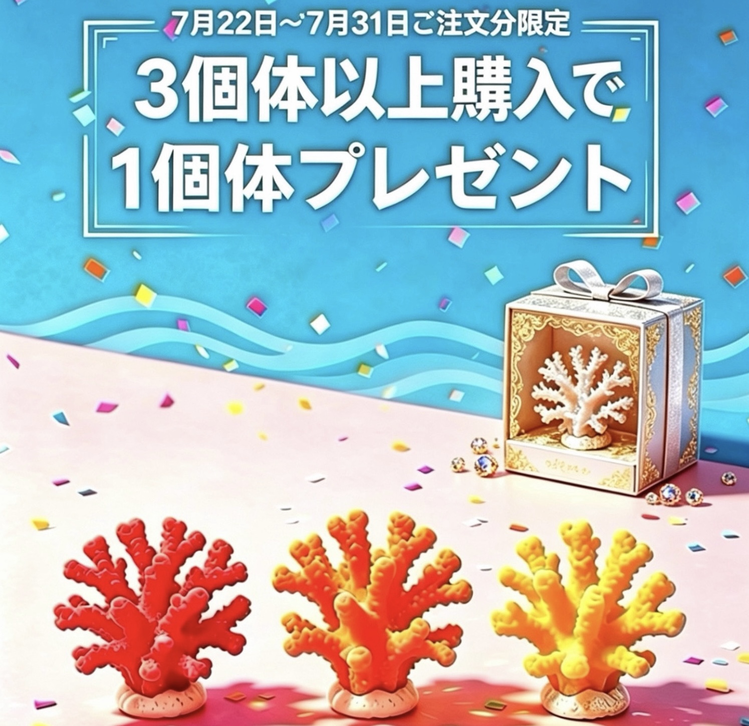 3個体以上ご購入で1個体プレゼント