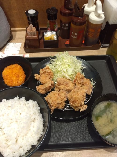 🌎🍚2/9更新★店主ブログ@substack『唐揚げレシピとワールドウォッチン』🗺