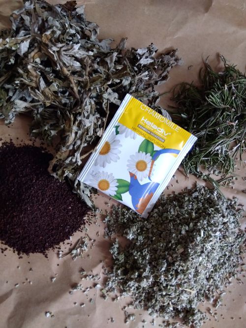 🌿11/23更新★店主ブログ『ヘナを使わない毛染めチャレンジ／後編』☕🍃