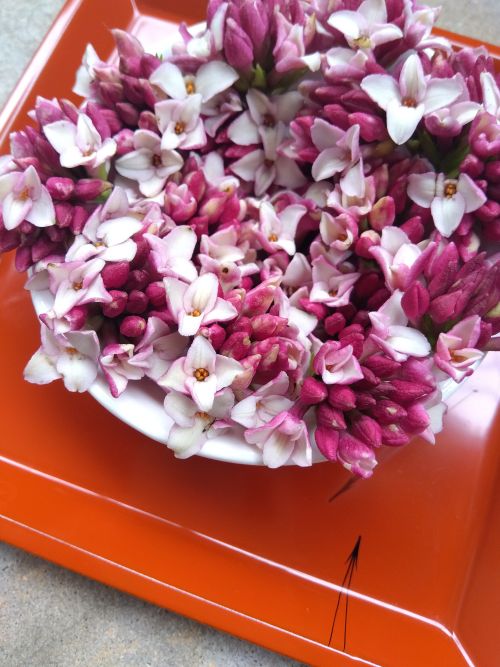 🌃2/25更新★店主ブログ@substack『問題のあの映画を再視聴』🌙