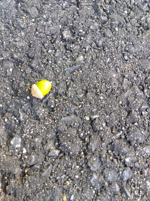 🌰《店主ブログ更新9/20》お墓歩きデトックス💦