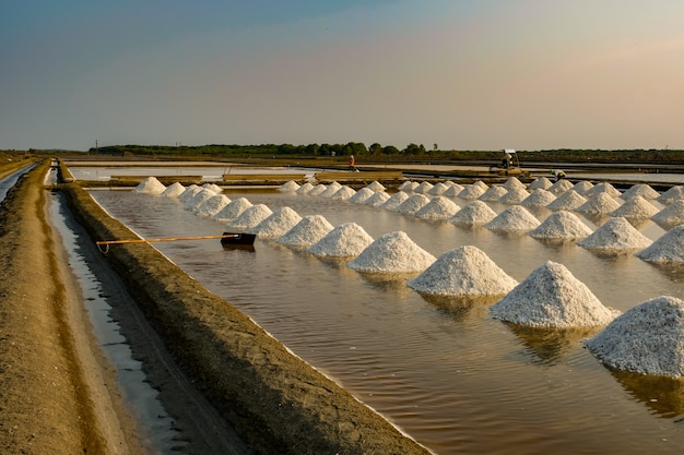 🧂👩✨3/14更新★店主ブログ@substack「老化の常識を覆す?塩美容」🌹