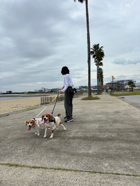 散歩の季節