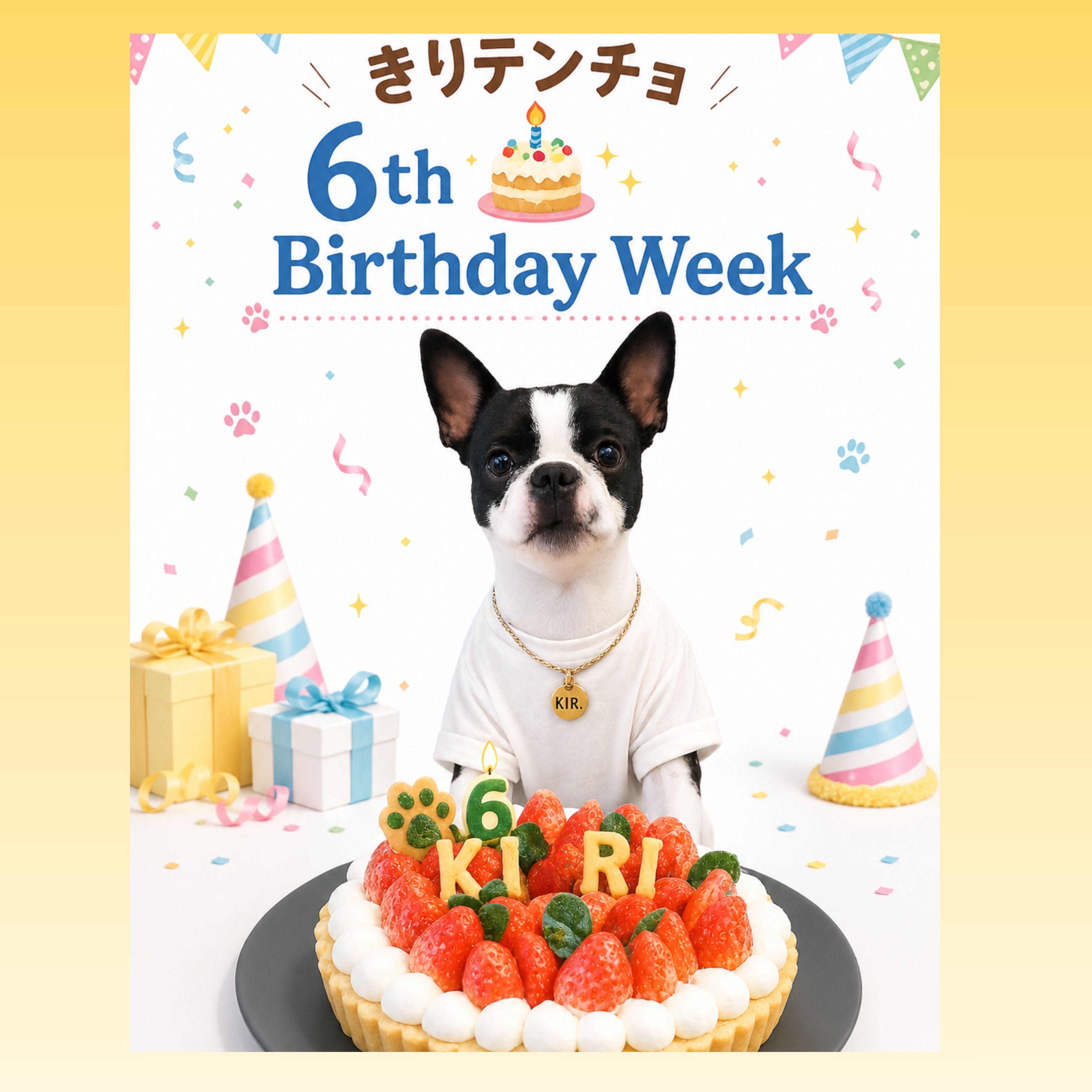 🎂🐶 看板犬 きりテンチョ Birthday Week トリプルイベント開催中！ 🐶🎂