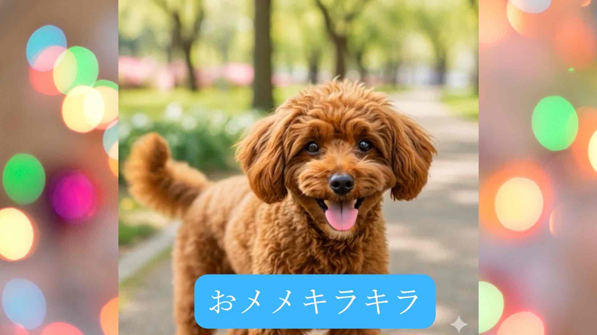 【ご相談のお願い】小型犬向け「おめめキラキラ」ご購入前にご確認ください