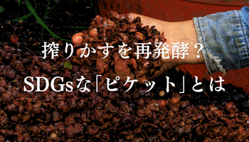 搾りかすを再発酵?SDGsな「ピケット」とは