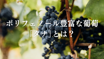 ポリフェノール豊富な葡萄「タナ」とは？