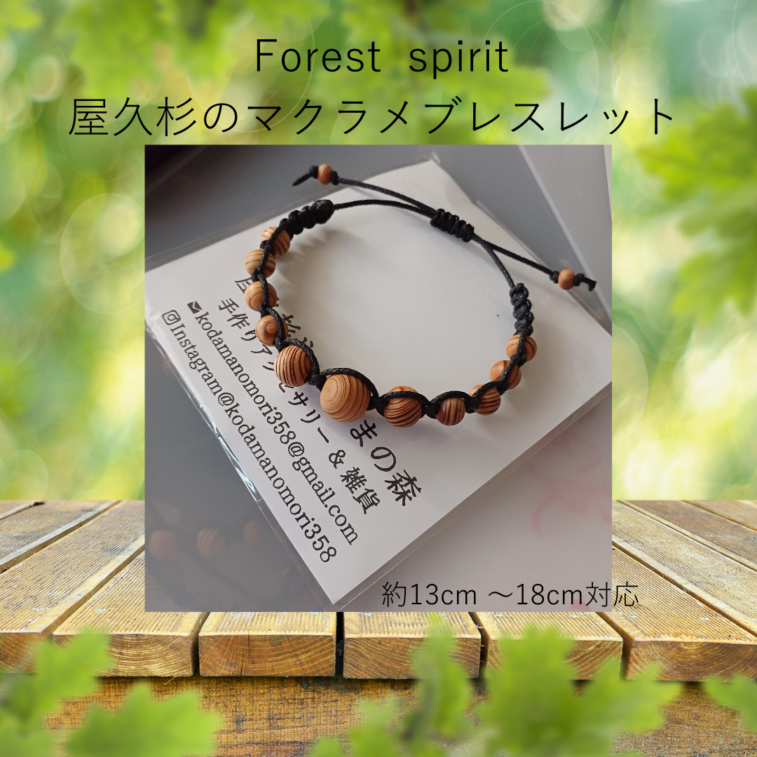 2/15.16マルシェ情報