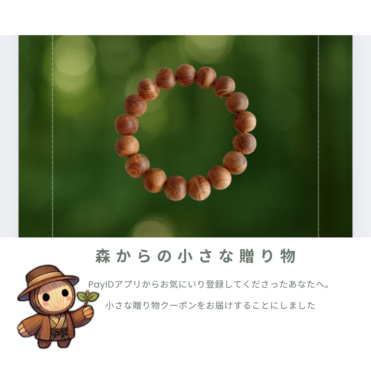 森からの小さな贈りもの|お気に入りクーポンはじめました✨