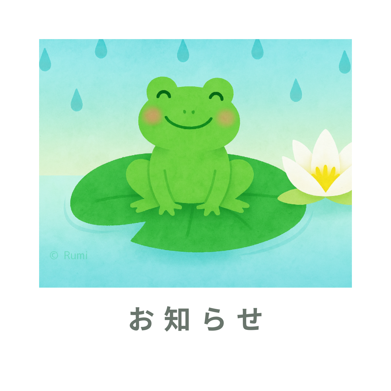 屋久杉のお店、少しずつ整えなおします。