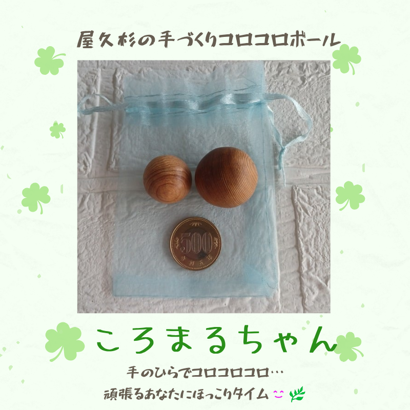 ころまるちゃんが生まれた日。〜まるくなくて、ちょうどよかった〜