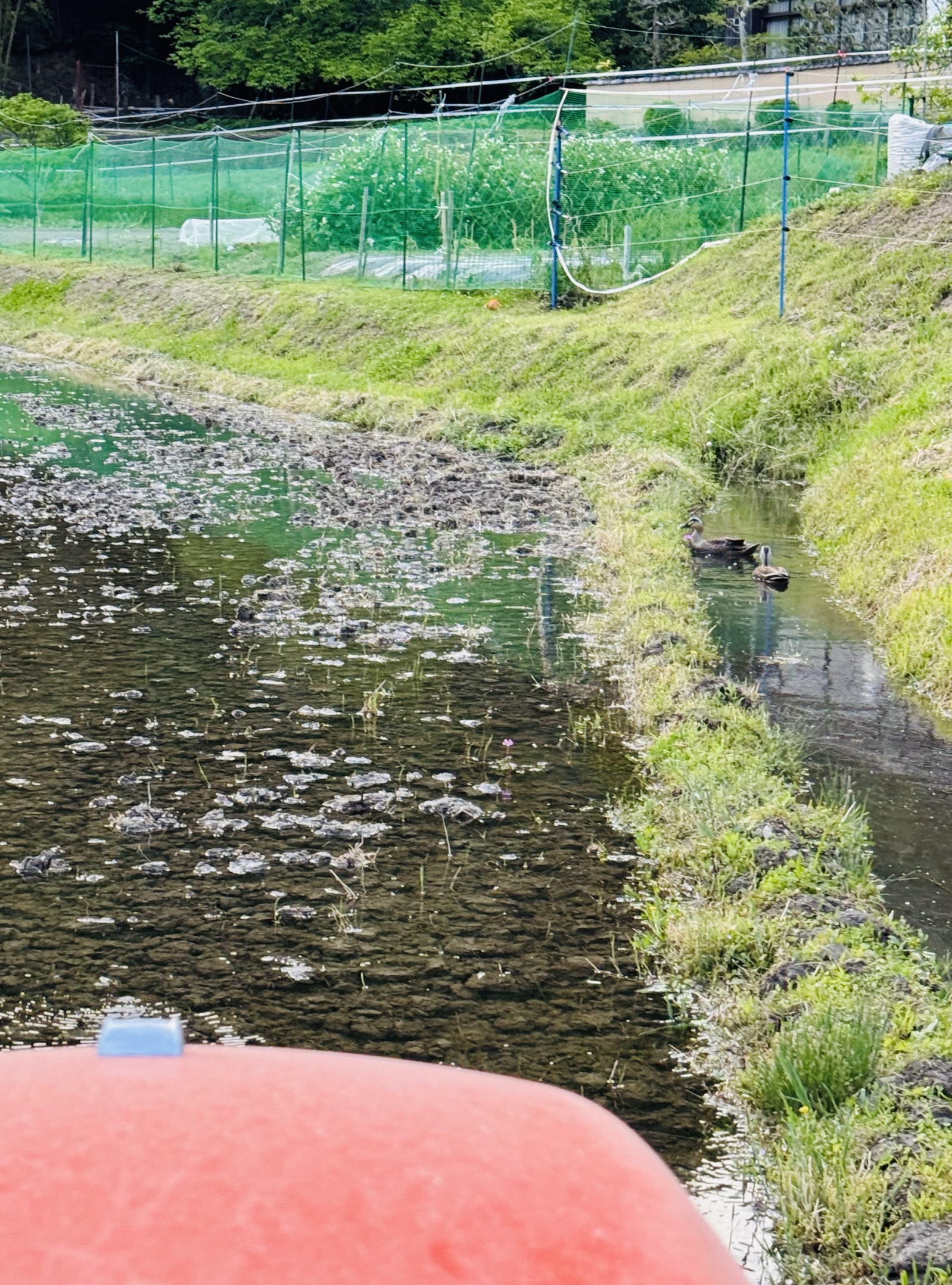 詐欺サイトとその後…