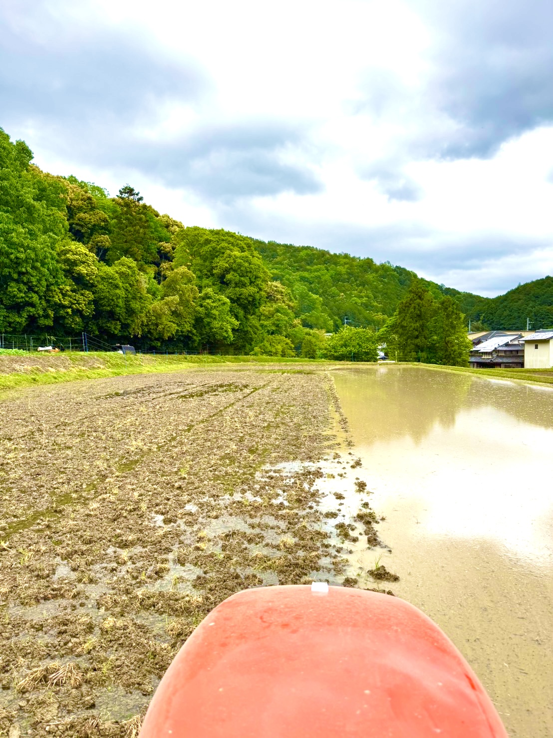 代掻きに学ぶ人生の土台