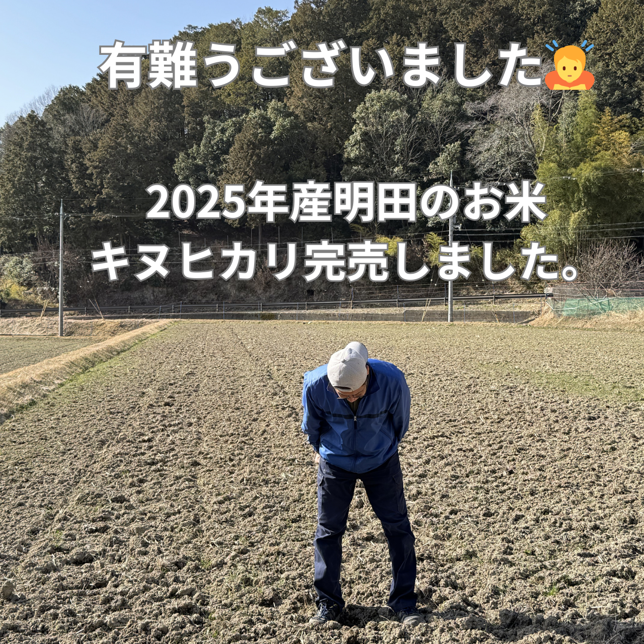 【ご連絡】2025年産『明田のお米』キヌヒカリ完売いたしました。