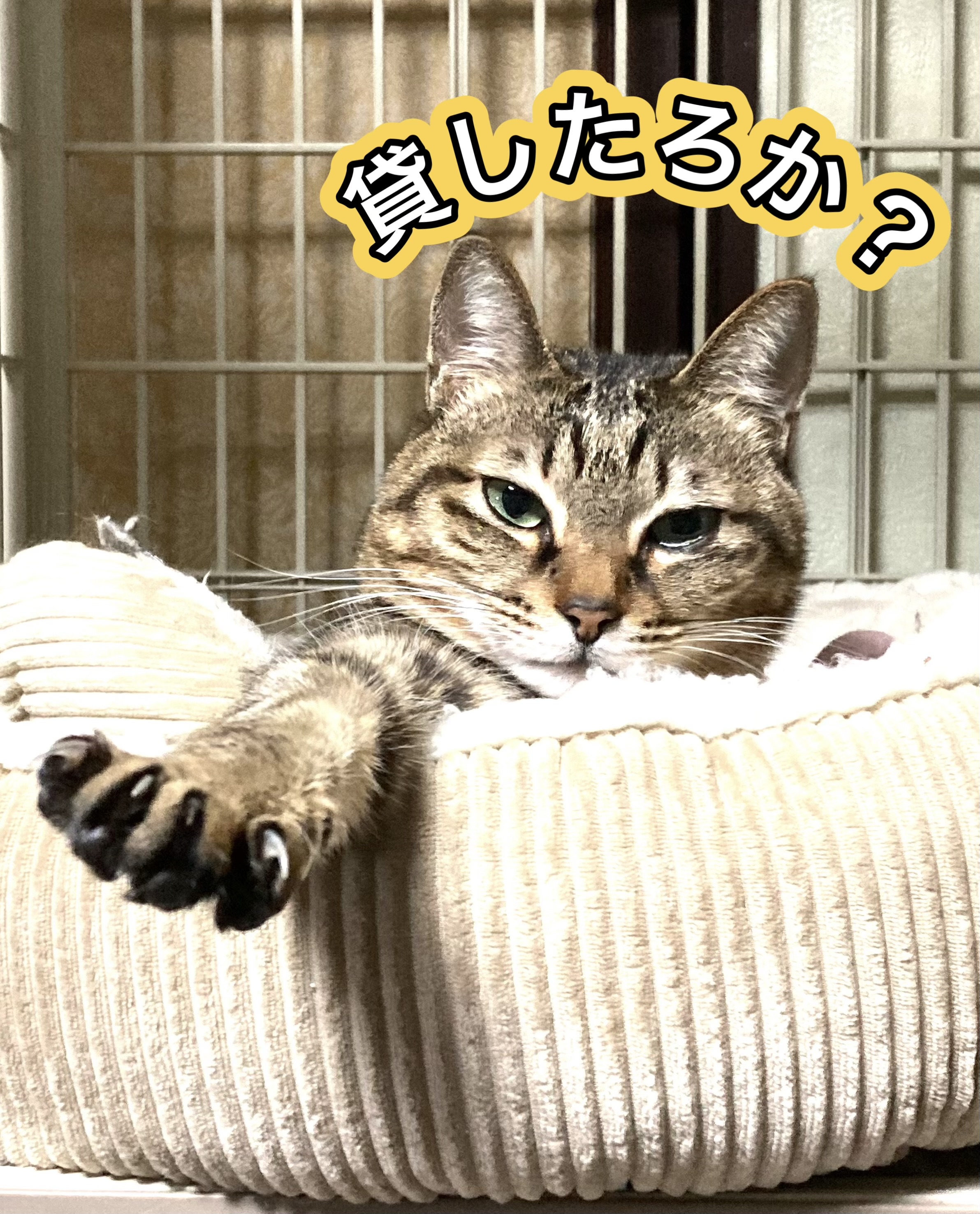 ソウルを忘れるな！