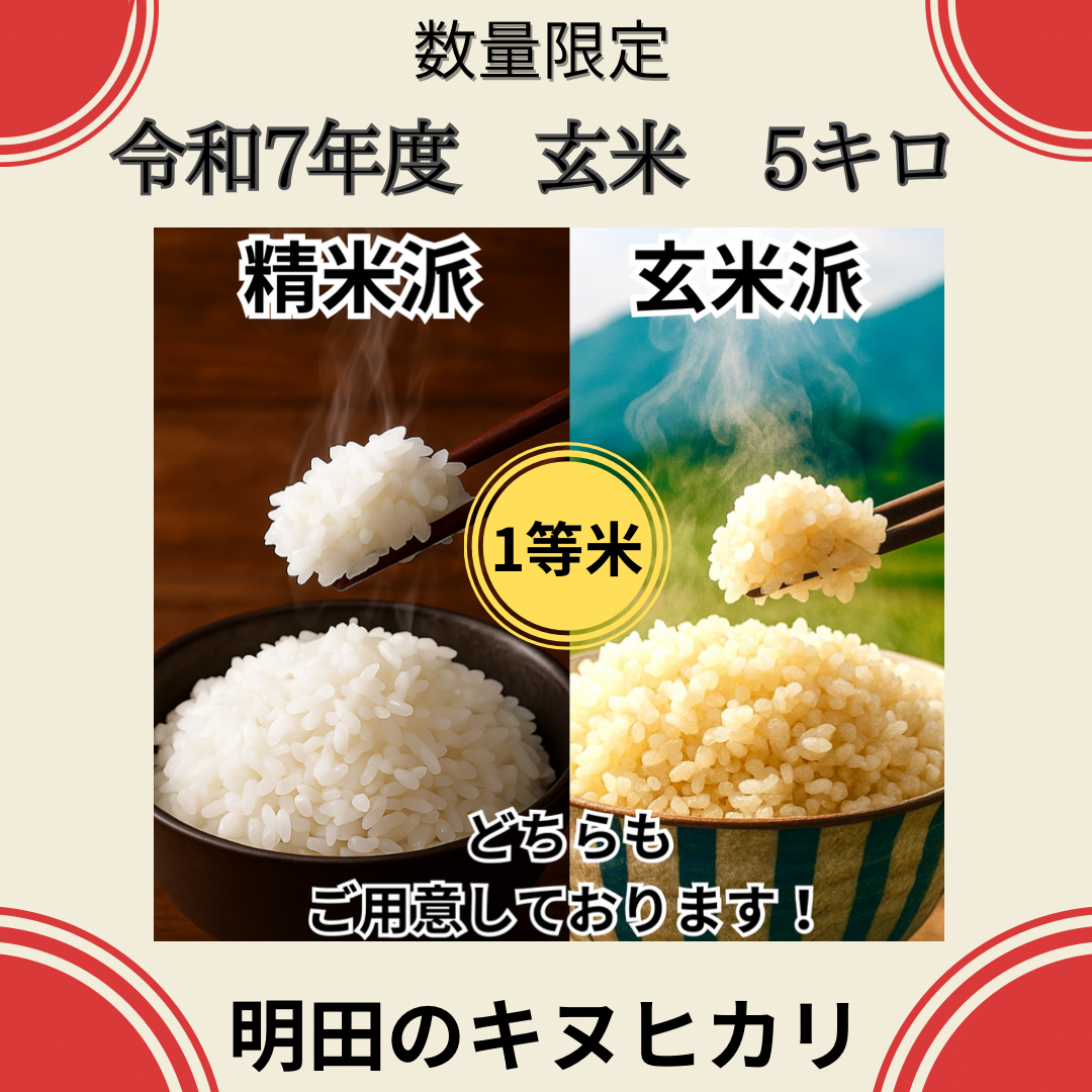 一袋で二度おいしい玄米の魅力✨