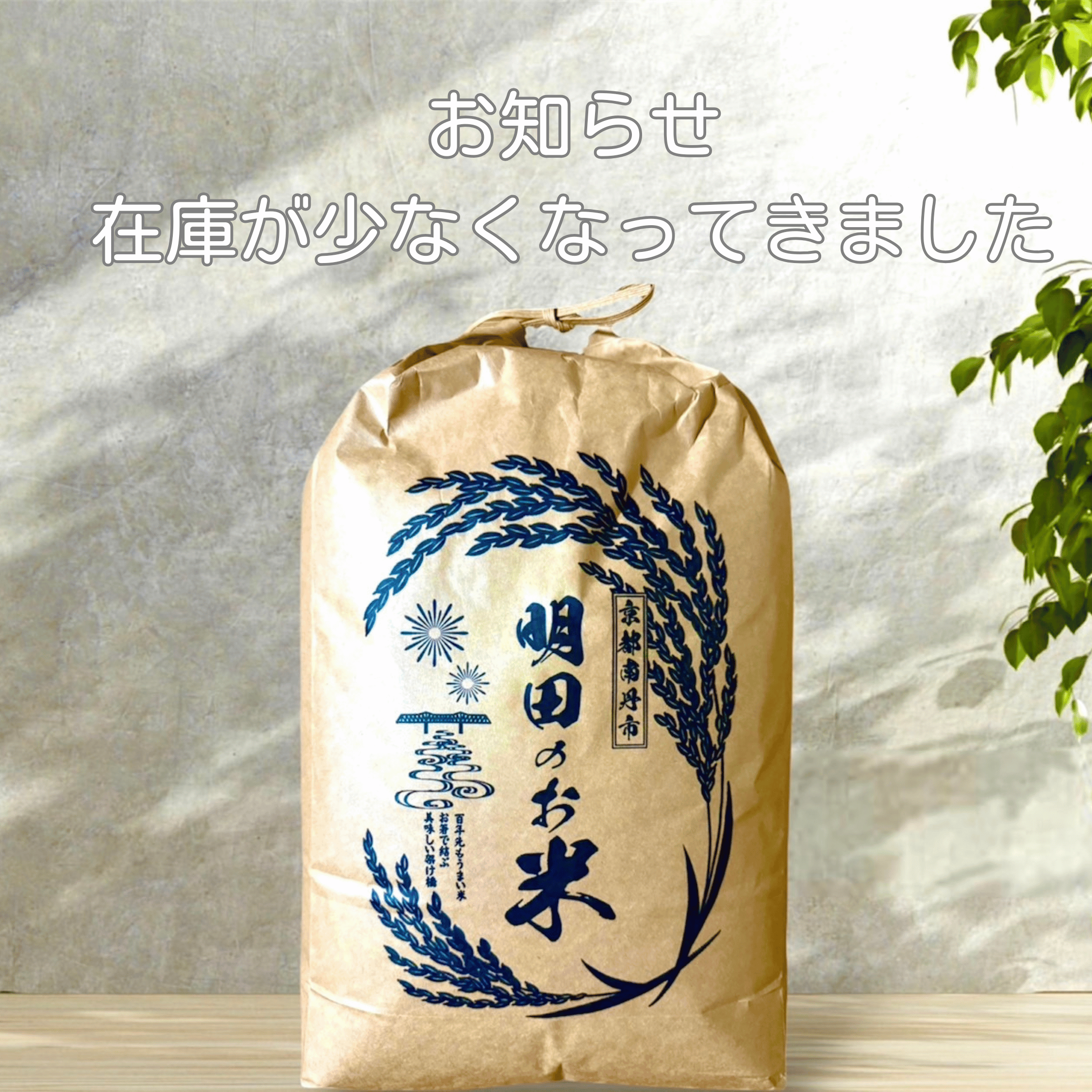 【ご連絡】2025年産『明田のお米（キヌヒカリ）』在庫が少なくなってきました🌾