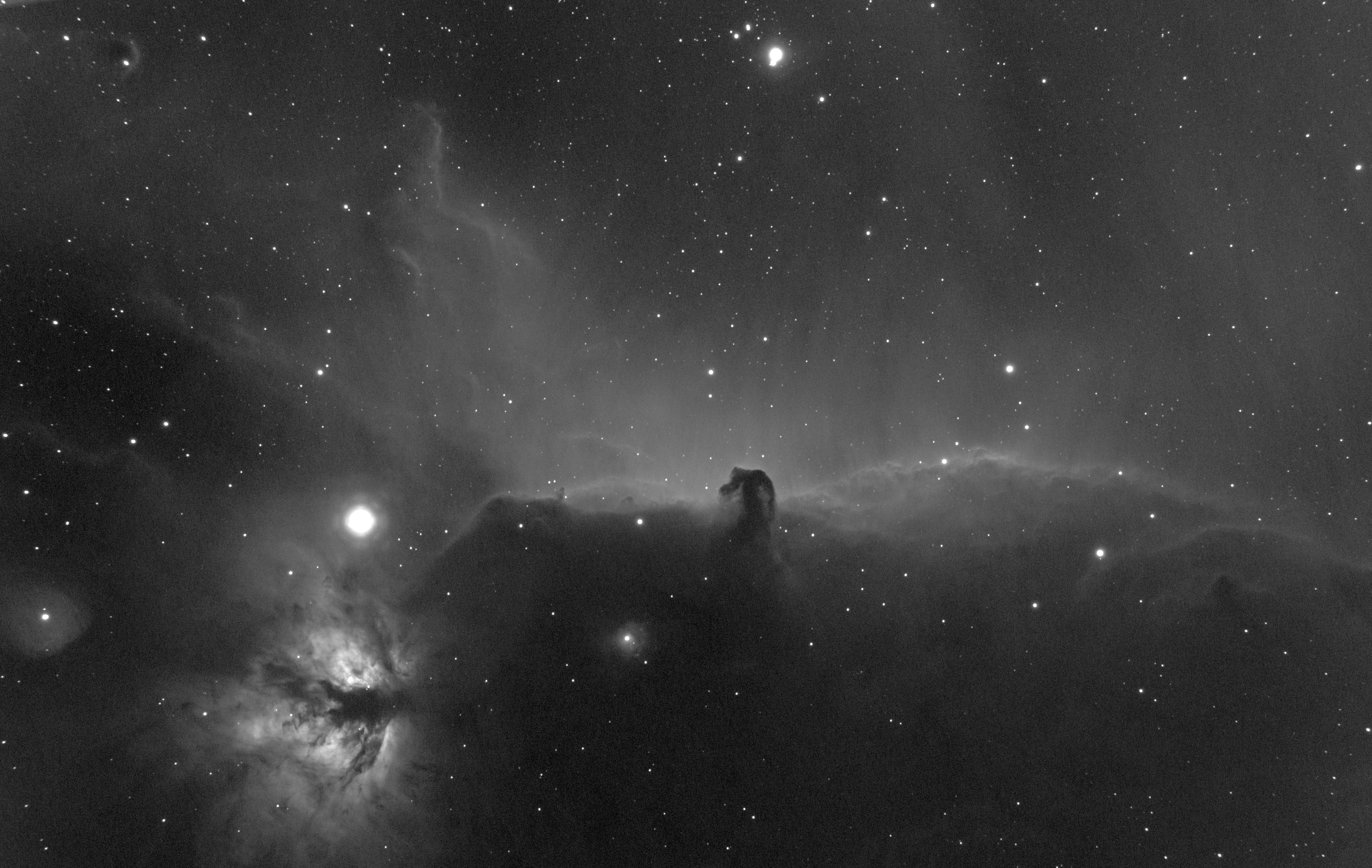 名残惜しい冬の星雲1　馬頭星雲