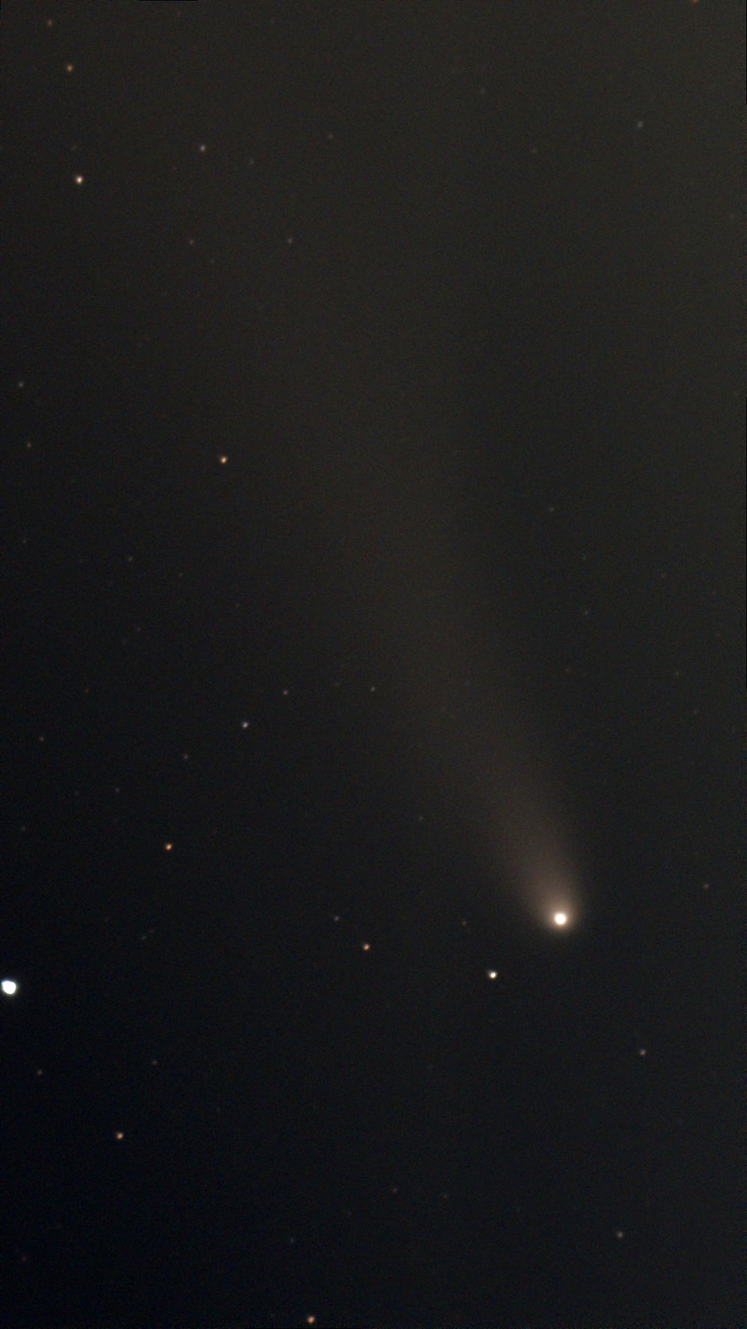 紫金山アトラス彗星
