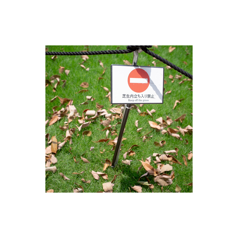 あなたの知らない世界はお花畑？