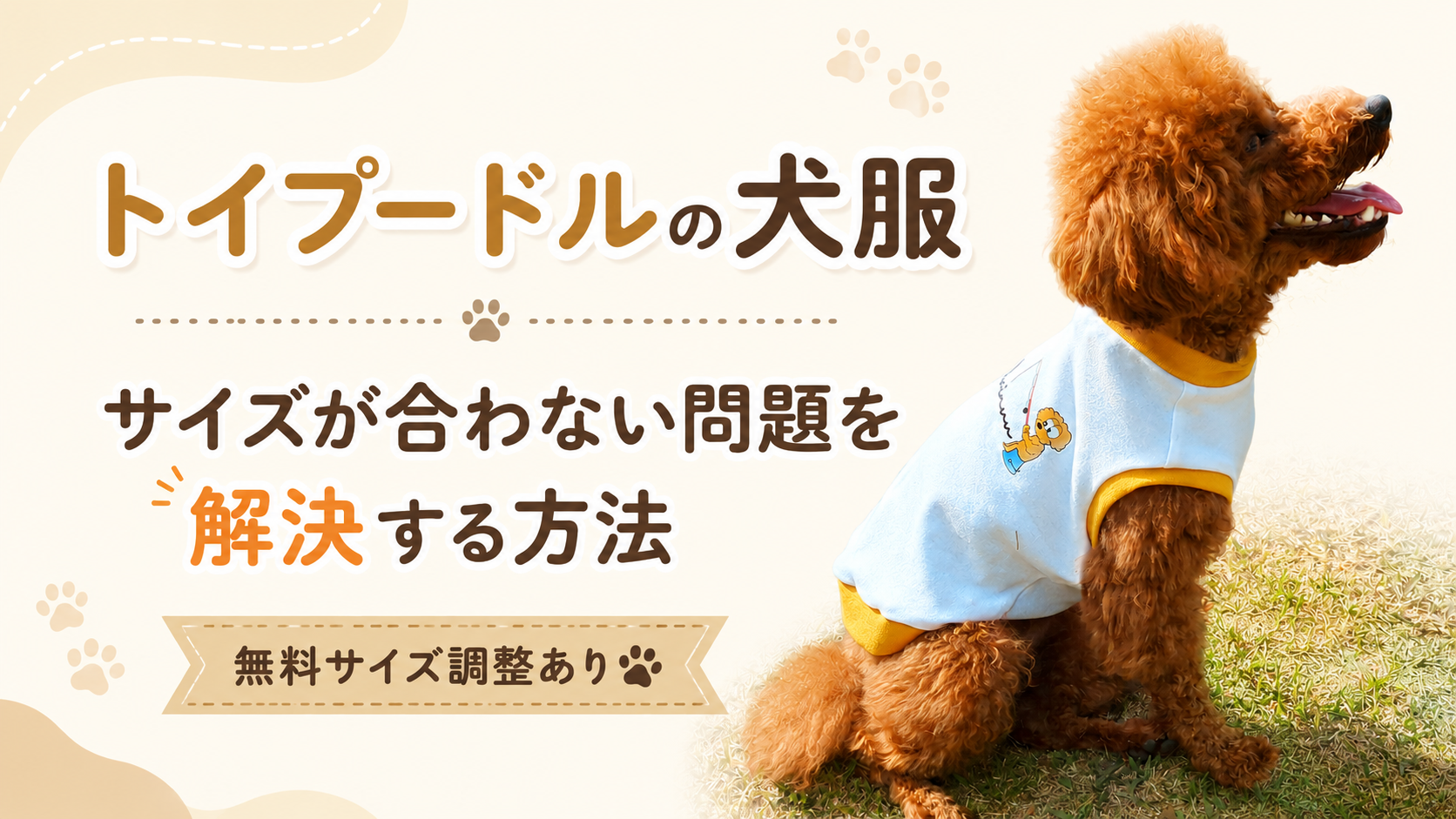 トイプードルの犬服、サイズが合わない問題を解決する方法