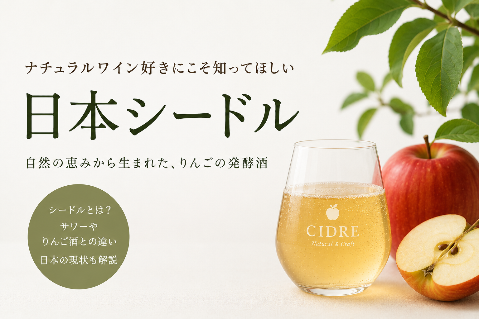 日本で注目が高まる「シードル」とは？シードルと「サワー」の違いは？