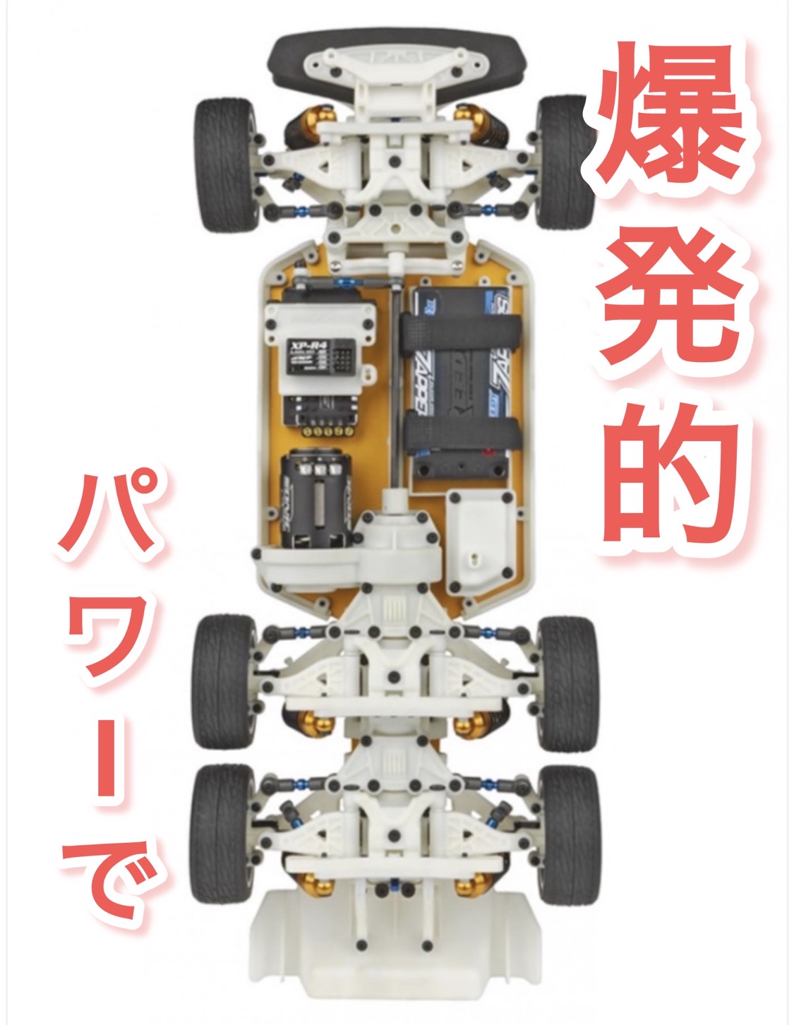 爆発的パワーで遊び倒す貴方へ！アソシの6WD
