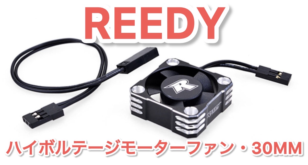 リーディのファン入荷です!