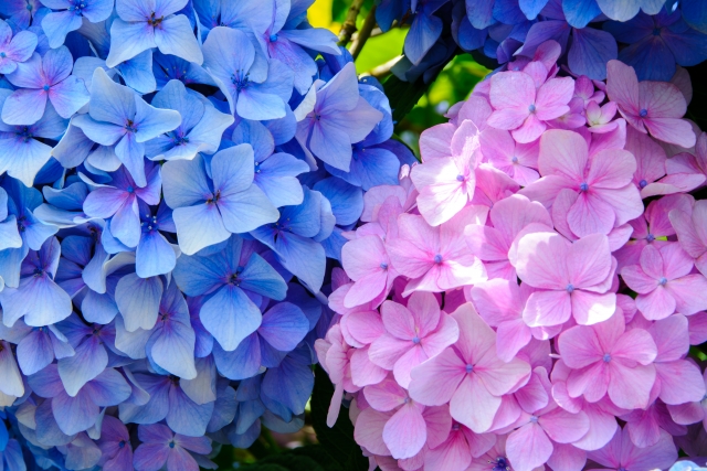 “気圧ストレス”を跳ね返す!梅雨の整え習慣