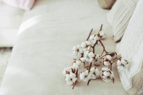 熱中症アラートにご用心。涼やかな天然素材で、からだを守る秋の選択