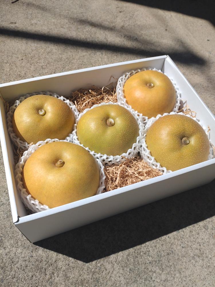 沢山のご注文ありがとうございます！