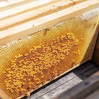 NUMBER HONEY の栄養価のこと