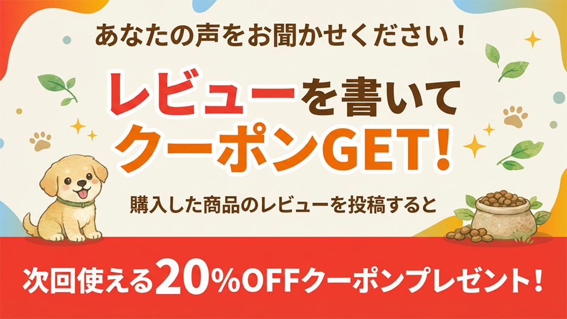 レビューを書いて20%OFFクーポンGETキャンペーン実施中！