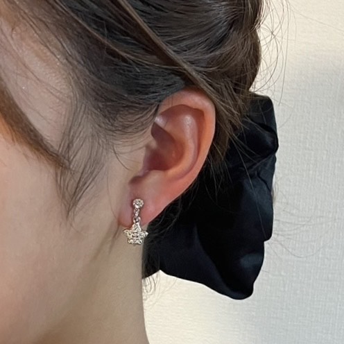 ピアスとイヤリングにNewバージョン登場！