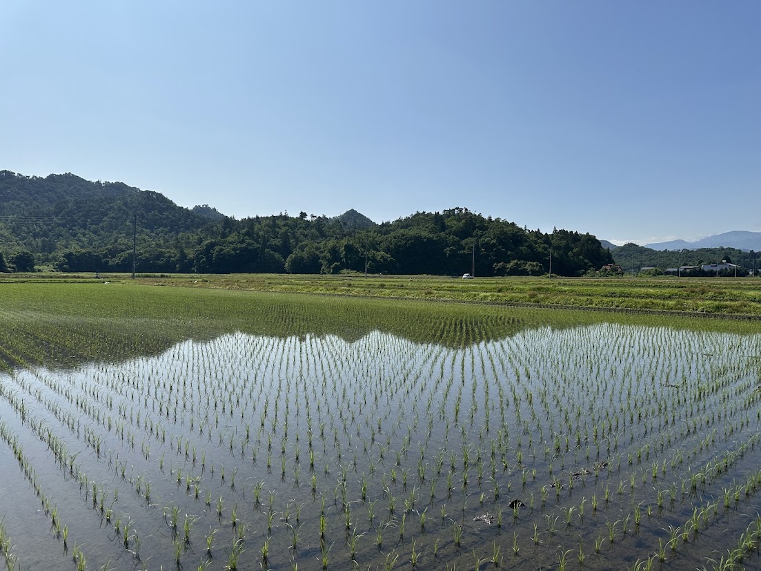 田植え終了！