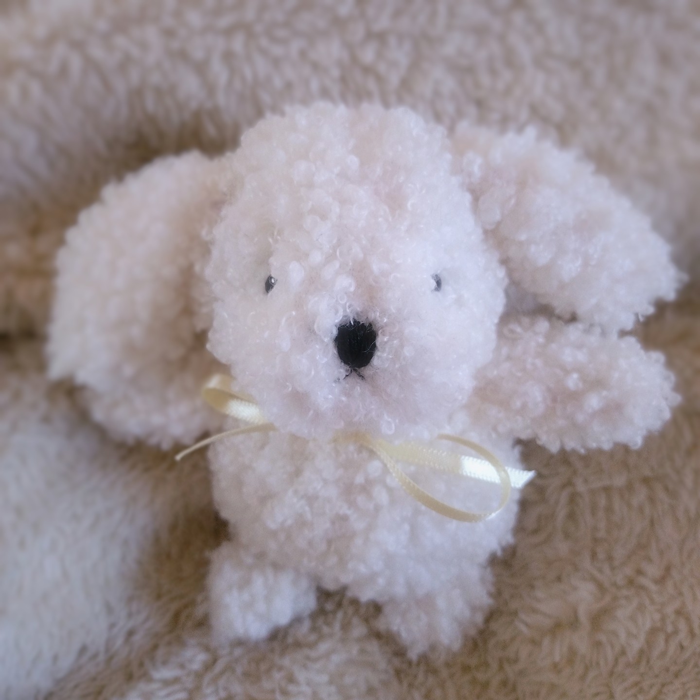 優柔不断人間と新しい子のお知らせ