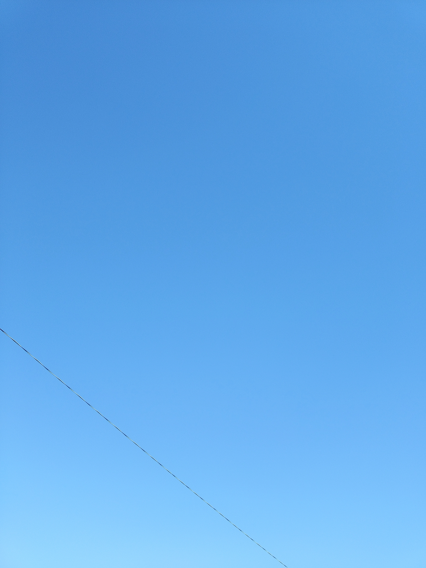 冬の空