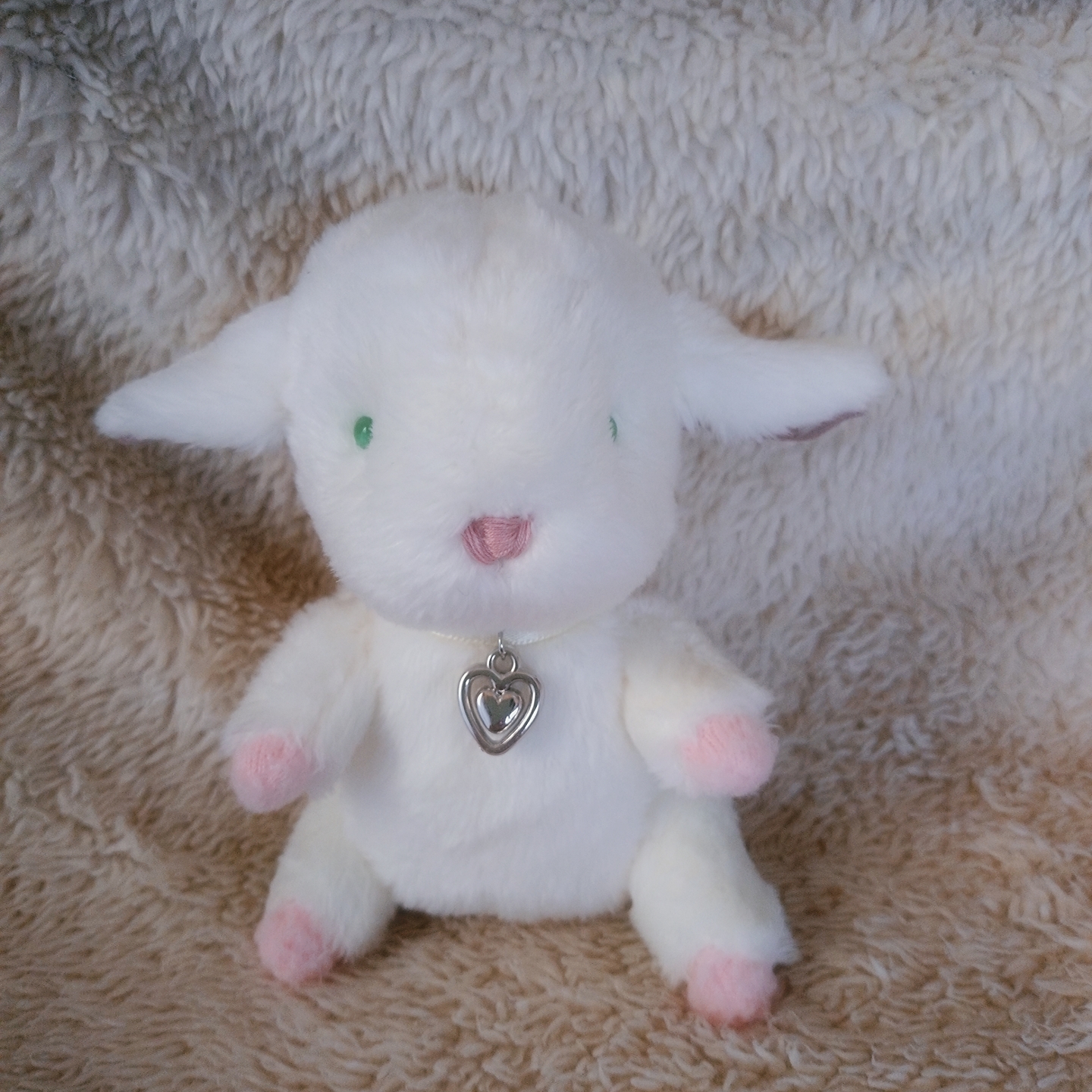 クーポンのお知らせと新しい子