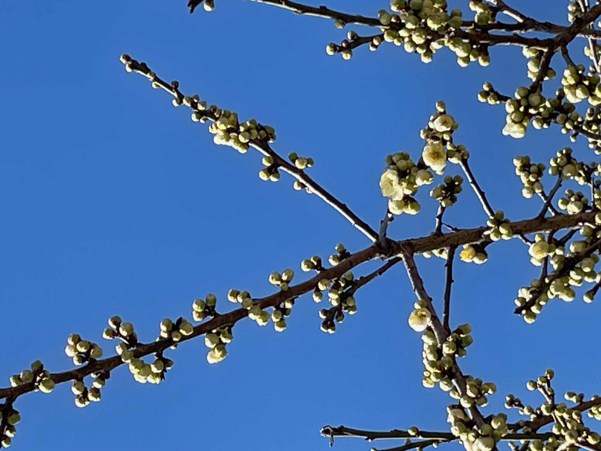 雨の日と花粉症