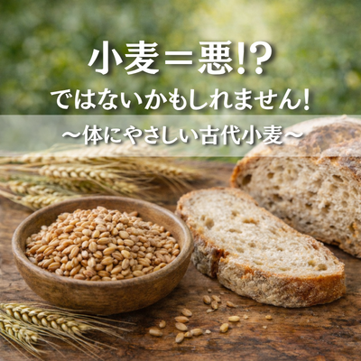 小麦＝悪！？ではないかもしれません！～体にやさしい古代小麦～