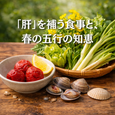 「肝」を補う食事と、春の五行の知恵