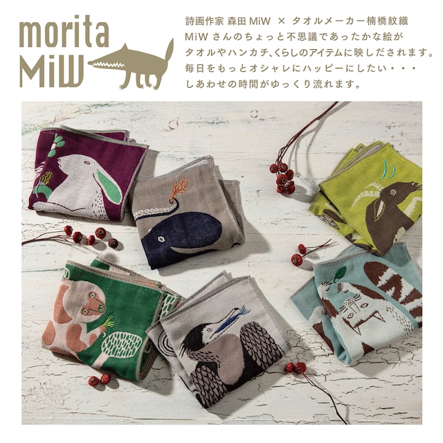 morita MiW 新商品入荷＆人気アイテム再入荷いたしました