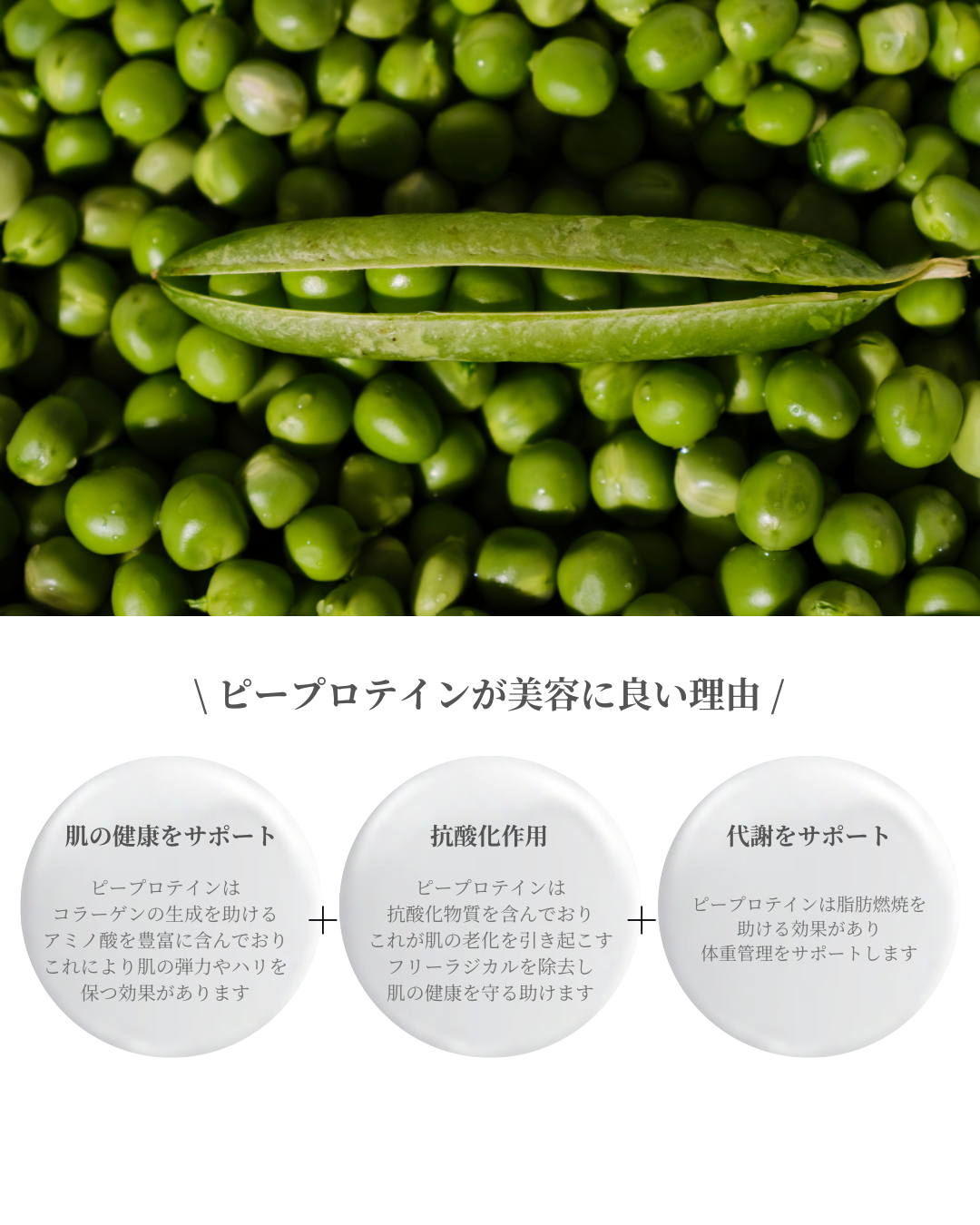 新フレーバー登場！ラクティクレールがさらにパワーアップ？