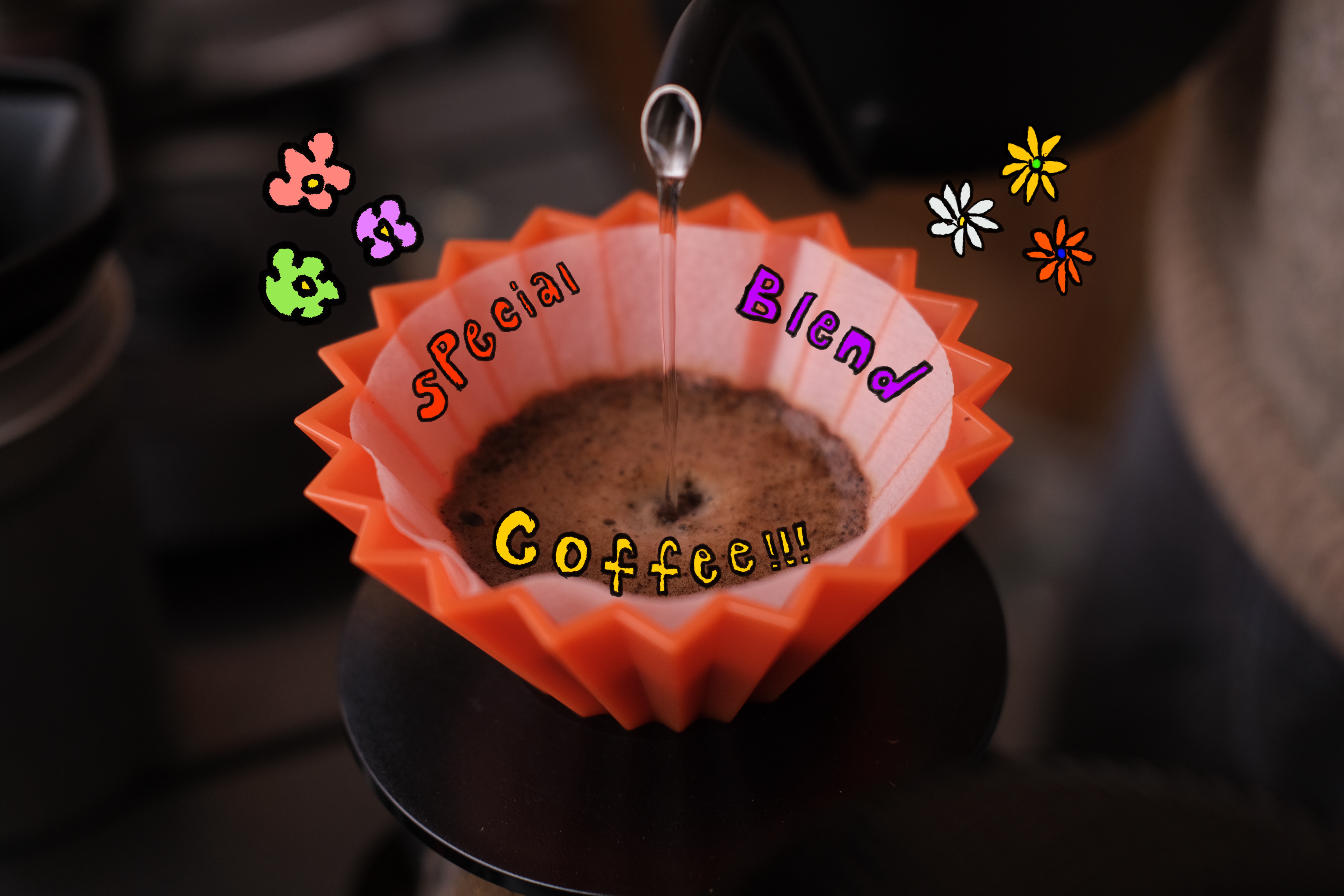 1周年カウントダウン！🫶送料無料キャンペーン🫶 4/1~6/30